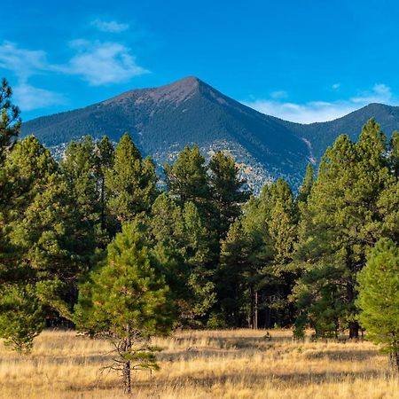 Villa Mt. Elden Adventure Flagstaff Exterior foto
