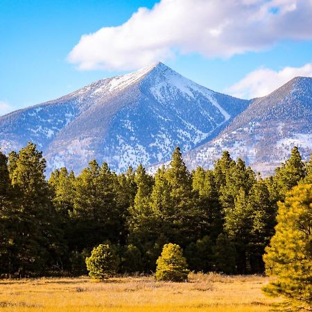 Villa Mt. Elden Adventure Flagstaff Exterior foto