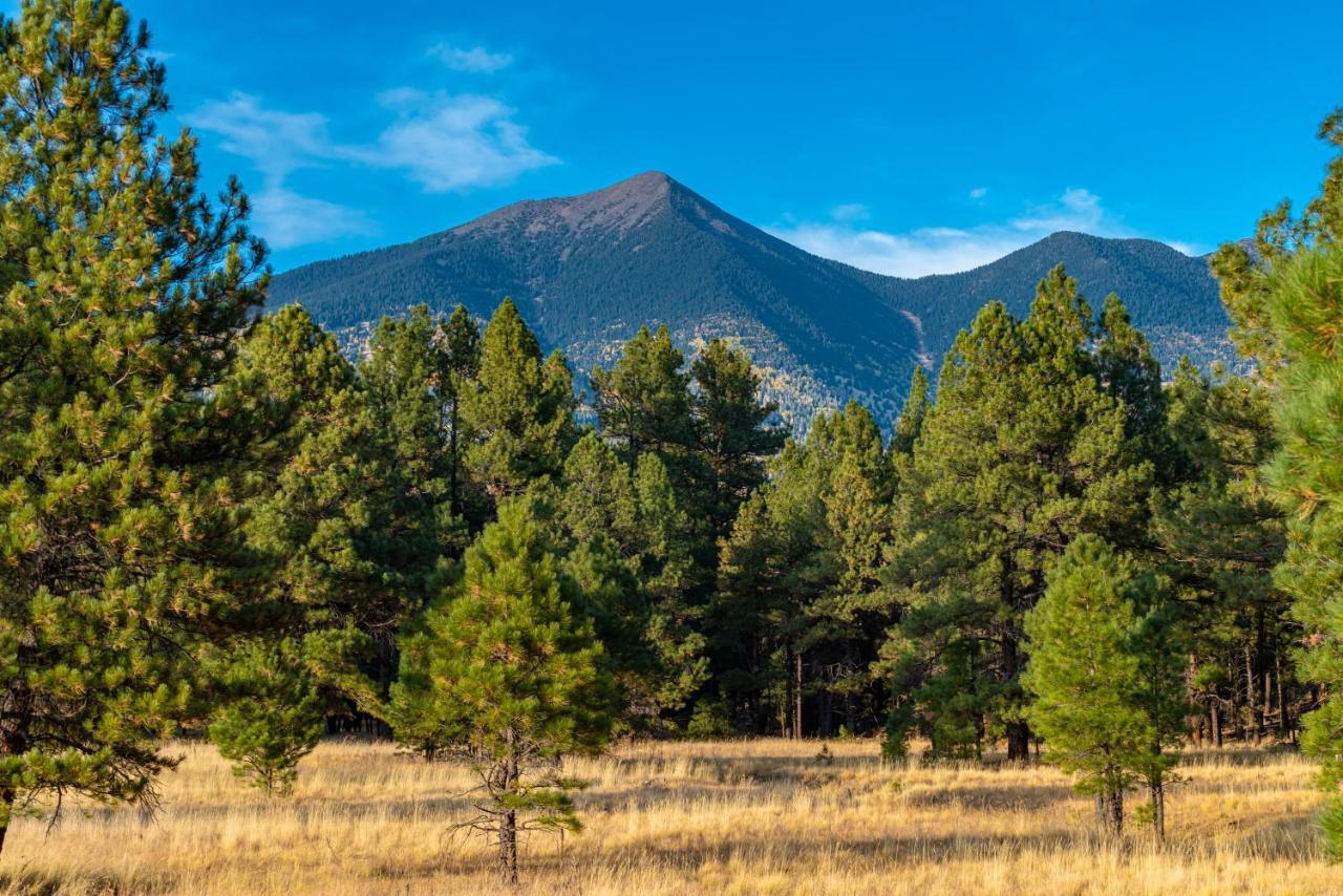 Villa Mt. Elden Adventure Flagstaff Exterior foto