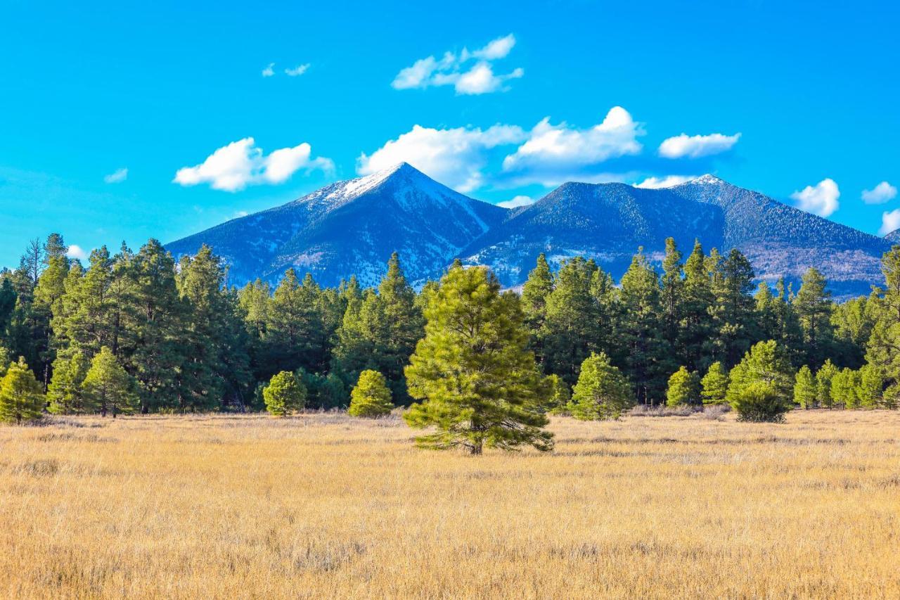 Villa Mt. Elden Adventure Flagstaff Exterior foto