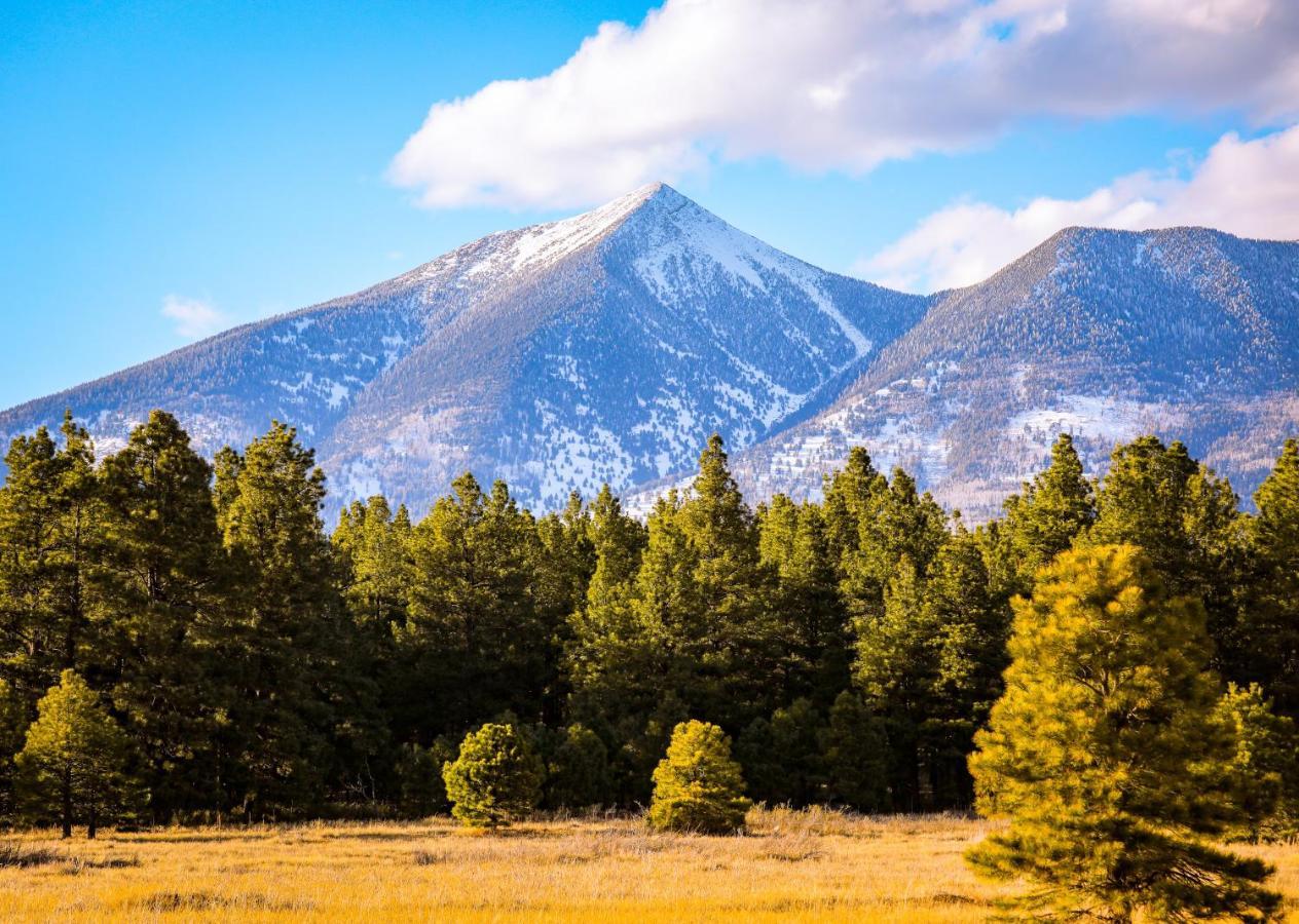 Villa Mt. Elden Adventure Flagstaff Exterior foto
